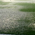 cancha inundada 150x150 Se suspendió la fecha del torneo Apertura