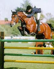 Equitación Lo mejor de la equitación estará en Garupá