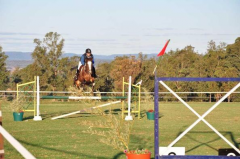 Martín Giorgio equitación 240x159 Comenzó el Regional de Salto en Garupá